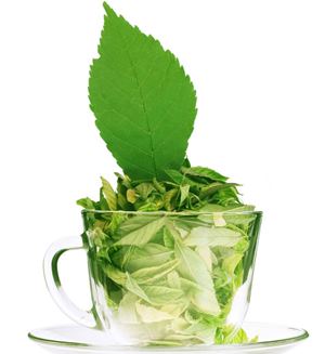 What are the benefits of Green Tea extract?