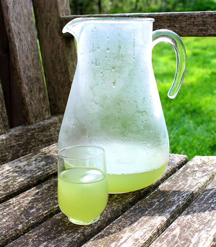 Sencha Green Tea – Hot or Cold
